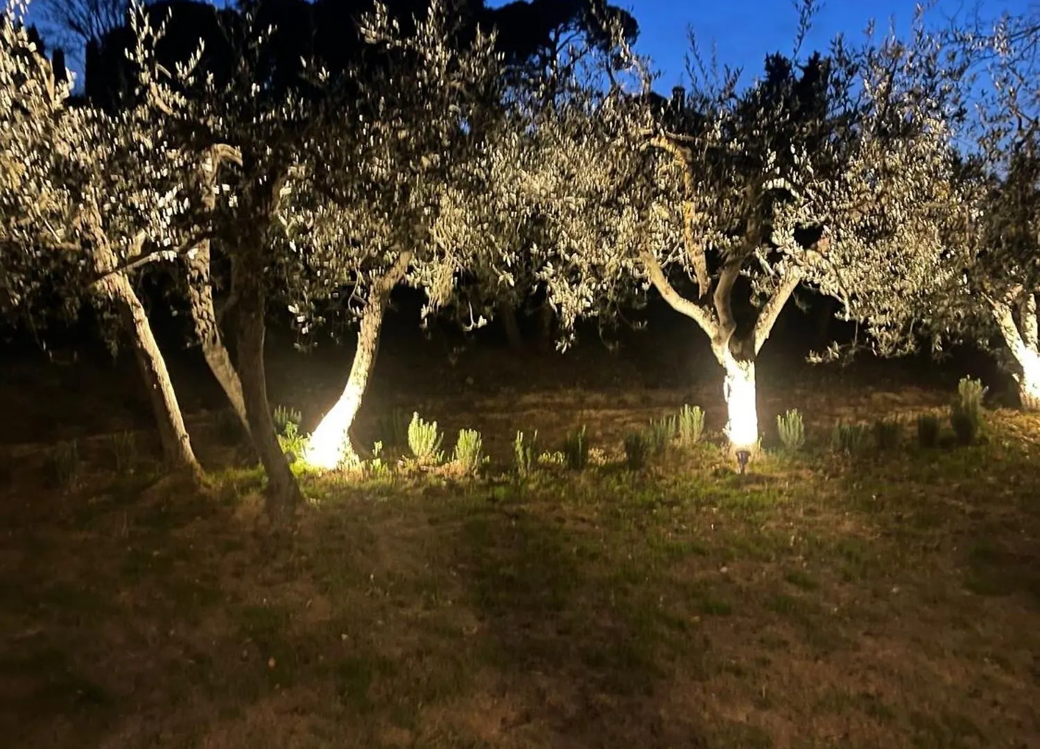 Holiday home Mikipongtwo Villa Montepulciano Italy