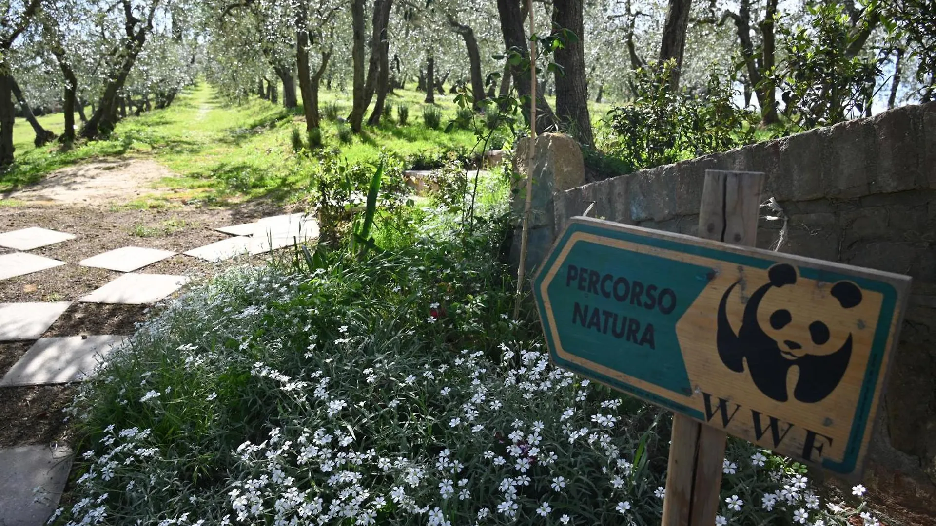 Mikipongtwo Villa Montepulciano Holiday home